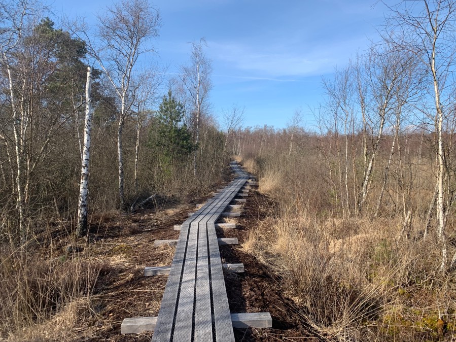 Sustainable libraries: Thank you CIL Connect – Slides are&nbsp;up